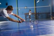 *** Badminton test ***
