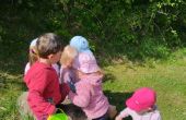 IMG_20250514_103624.jpg