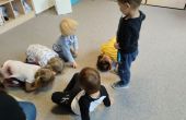 IMG_20250519_095031.jpg
