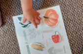 IMG-20250908-WA0017.jpg