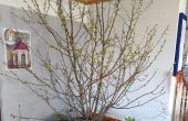 IMG-20260405-WA0011.jpg