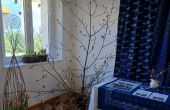 IMG-20260405-WA0007.jpg