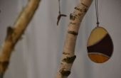 DSC_0741.JPG