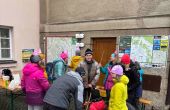 IMG_1903.jpeg