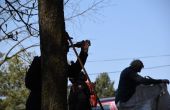 DSC_0663.JPG