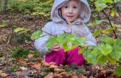 IMG-20251018-WA0006.jpg