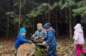 IMG-20251112-WA0004.jpg