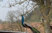 IMG-20260416-WA0014.jpg